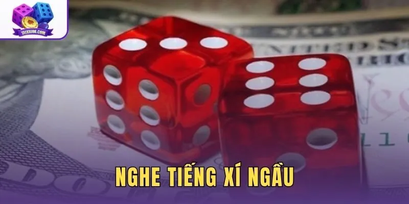 Nghe Tiếng Xí Ngầu - Sự Thật Khoa Học Về Đoán Điểm Số